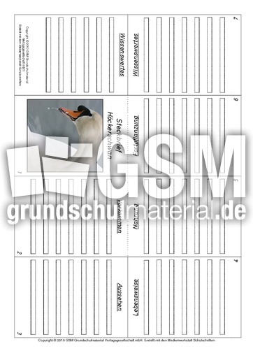 Faltbuch-Höckerschwan.pdf